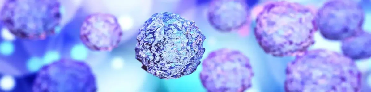 Descoperire UCLA: Îmbătrânirea musculară, o adaptare protectoare