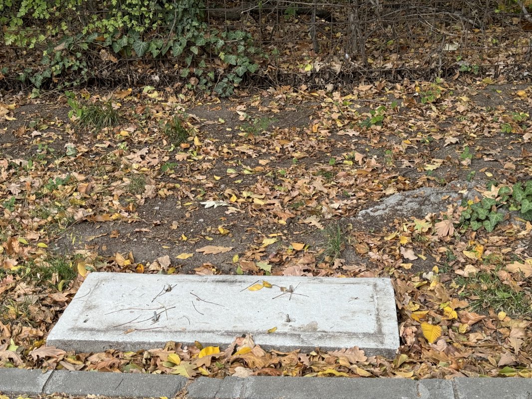 Parcul Herăstrău, un exemplu de neglijență și furt